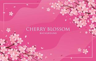 Cherry Blossom Background vector