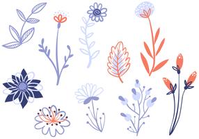 Free Delicate Flowers Vectors