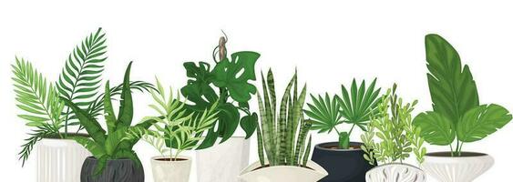 Set of indoor tropical plants in fashionable pots vector