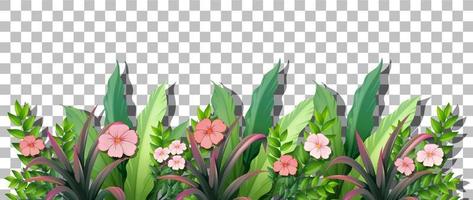 Various tropical plants isolated vector