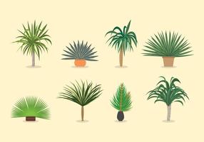 Yucca Plant Vectors